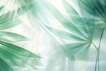 优雅抽象花朵炫彩渐变背景图