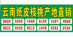 云南核桃