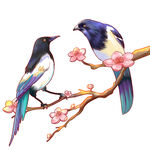 鸟设计素材