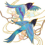 鸟设计素材