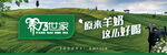 原来羊奶这么好喝
