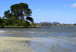 奥克兰海边风景