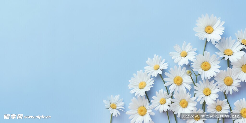鲜花边框