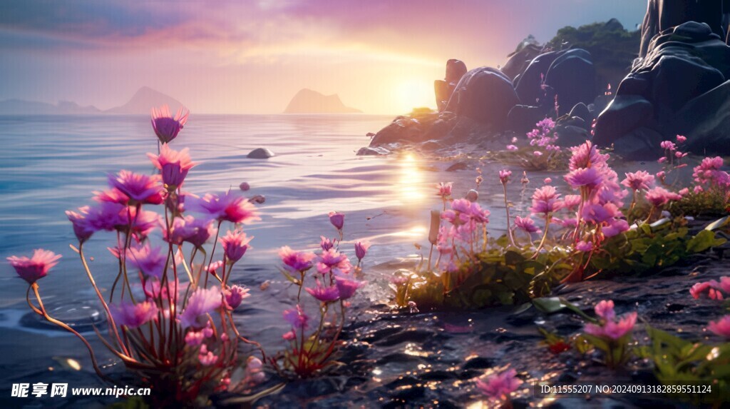 海边晚霞风景