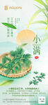 小满 海报 节气
