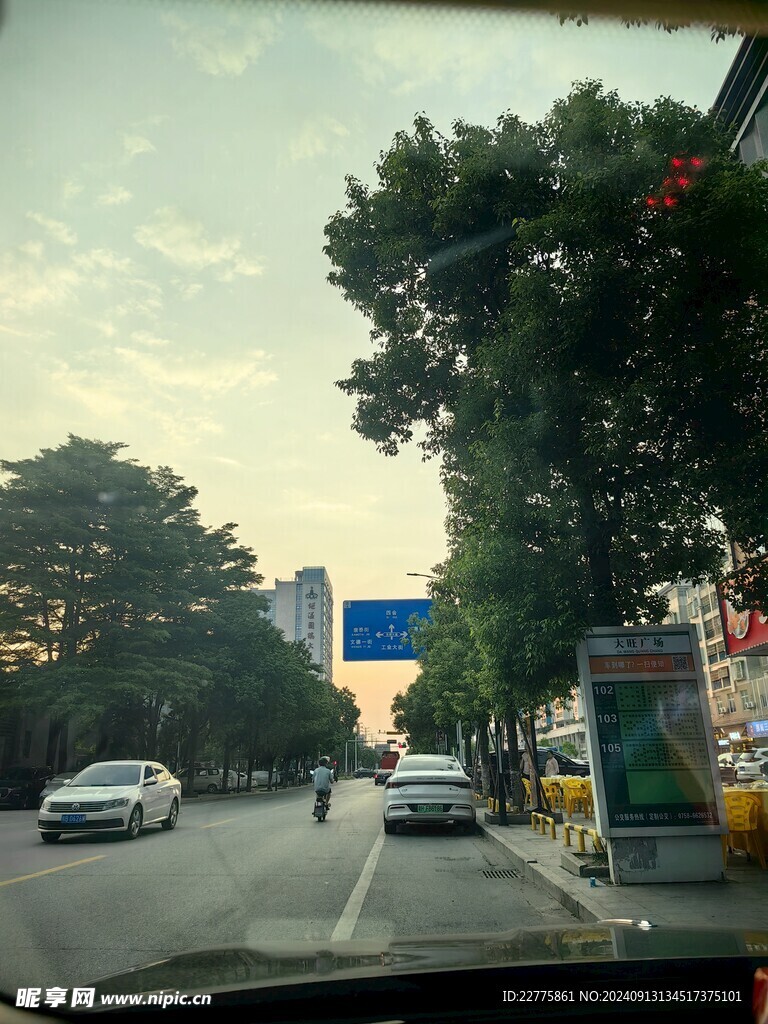 肇庆马路风景景色