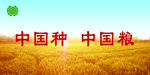 中国种中国粮