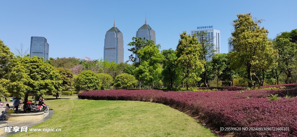 城市街道 