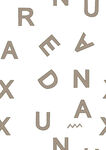 字母