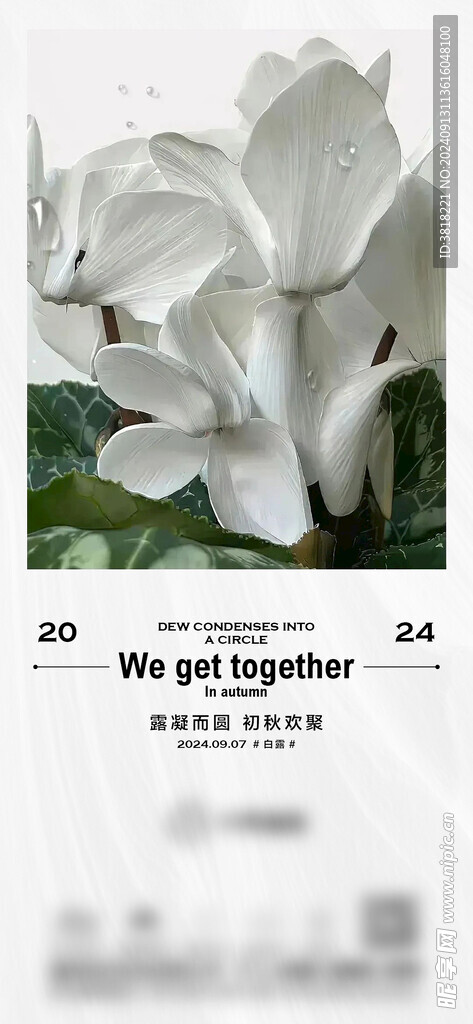 白露节气微信海报