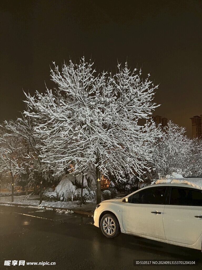 雪景