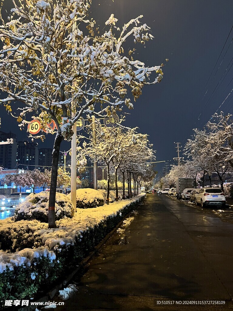 初雪  