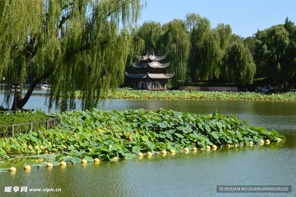 公园风景 
