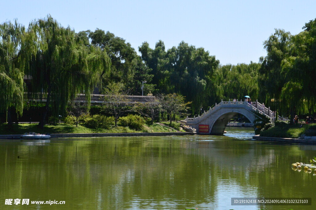 公园风景  