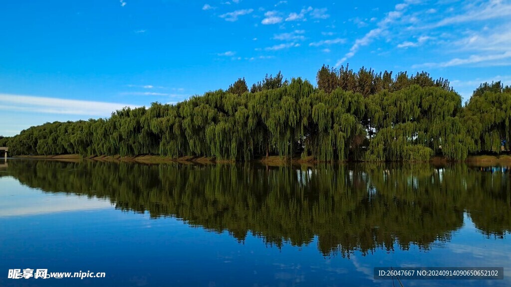风景背景图