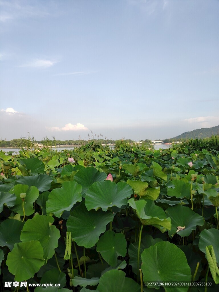 管社山庄