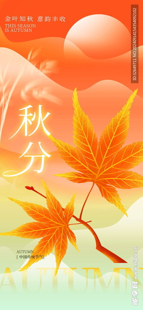 秋分