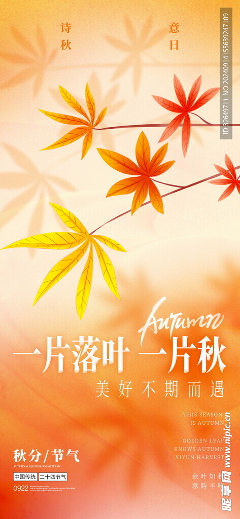 秋分