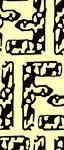 字母