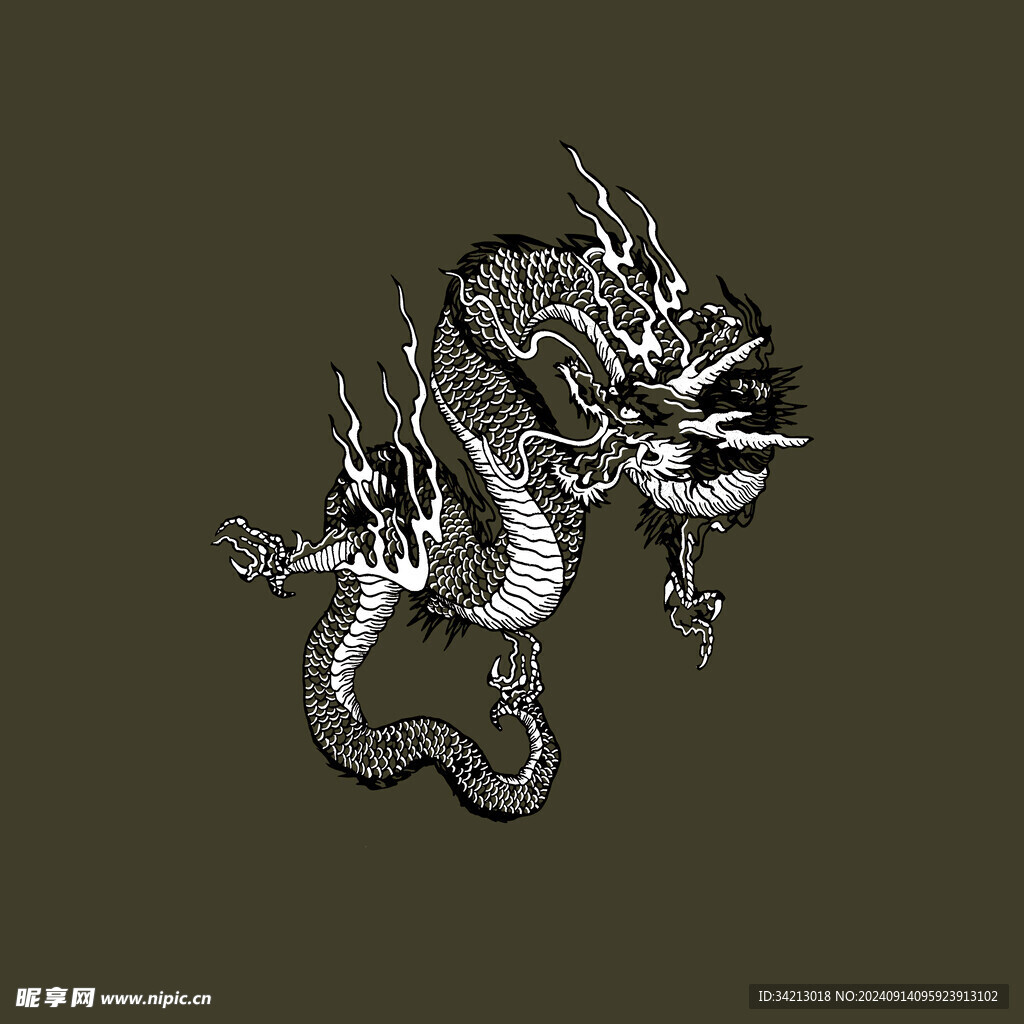 大牌龙
