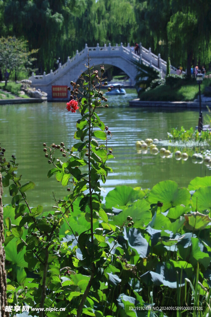 公园风景  