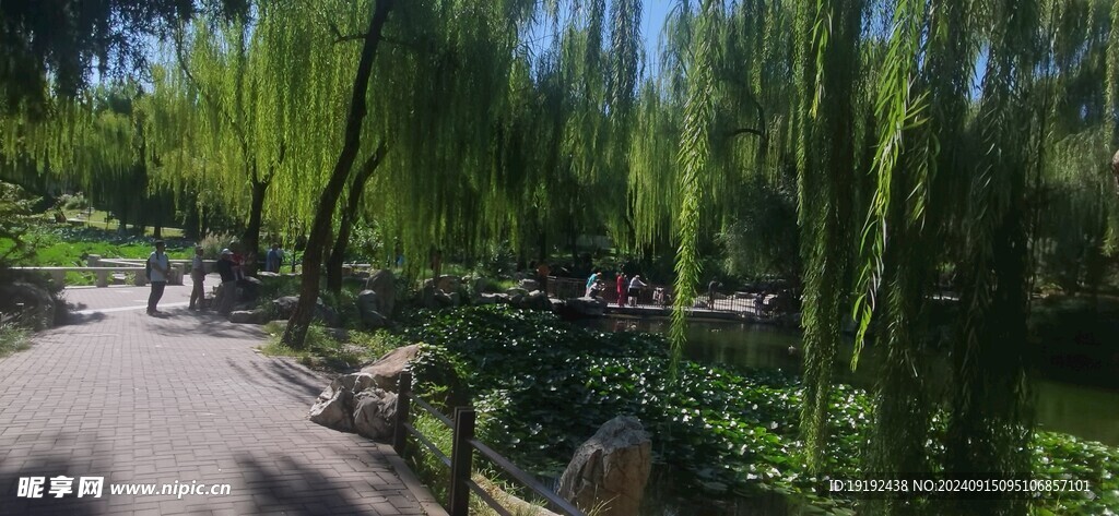 公园风景 