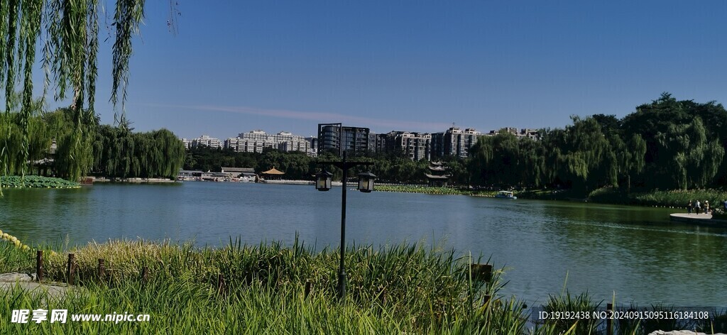 公园风景  