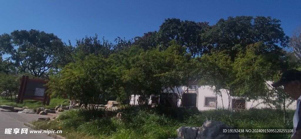 公园风景  