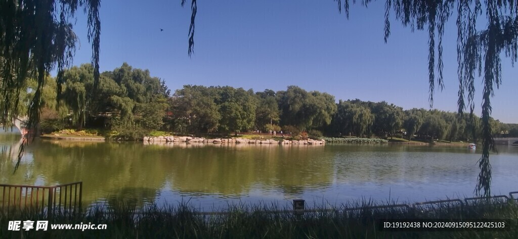 公园风景 