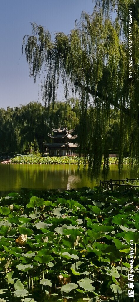 公园风景 