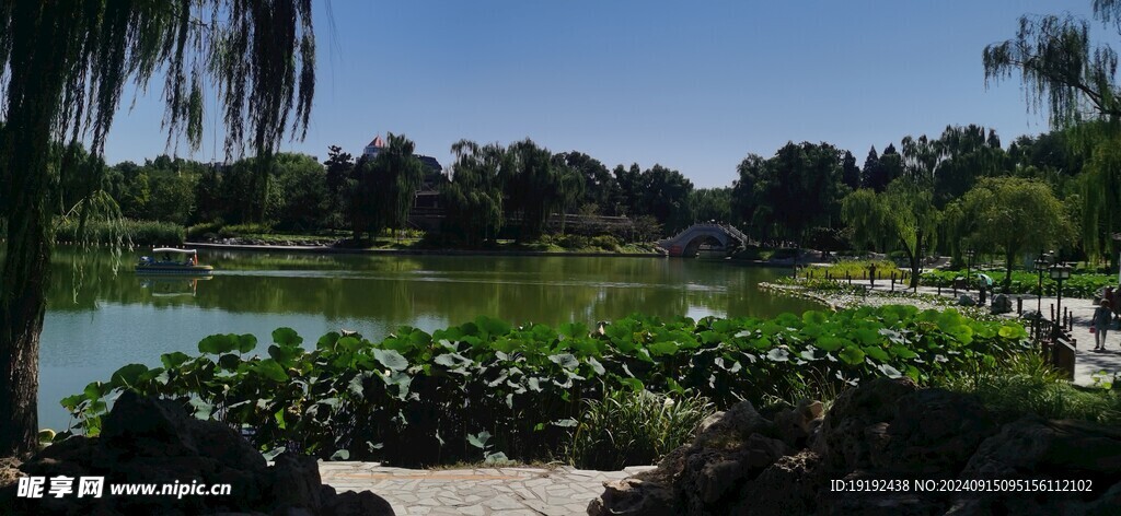 公园风景  