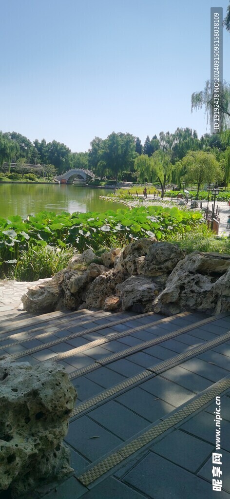 公园风景 