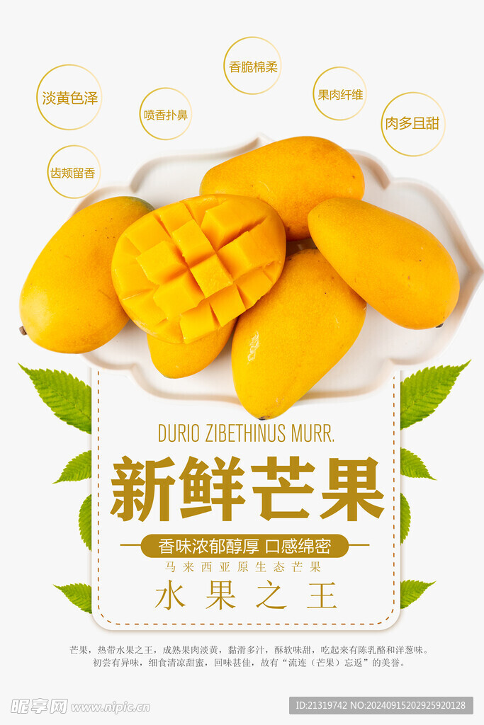 新鲜芒果