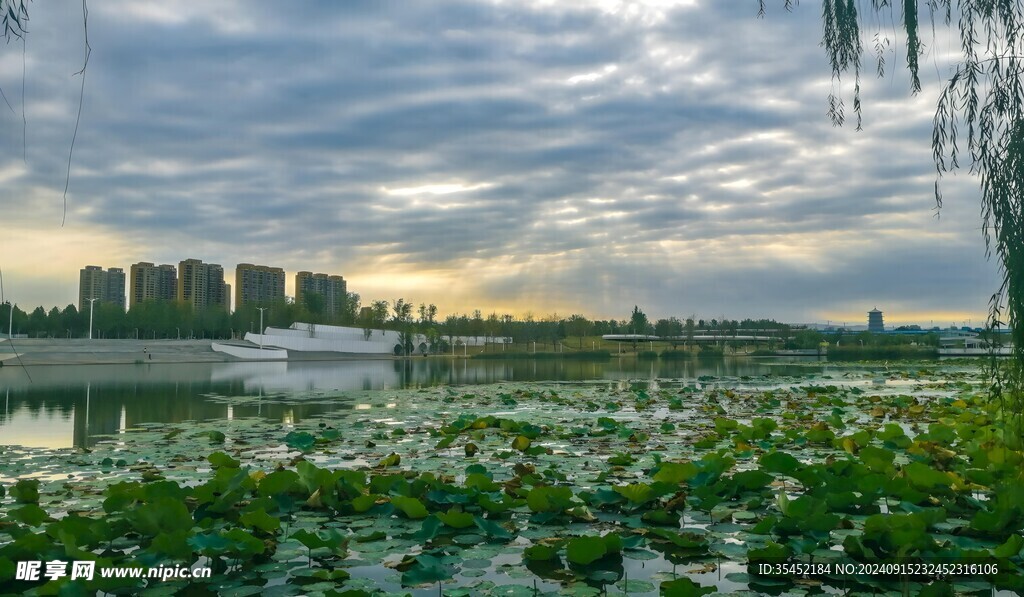 湖畔