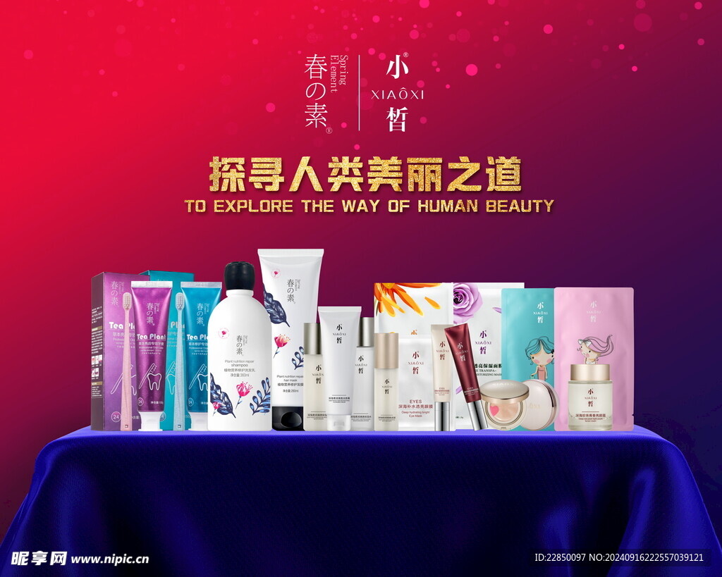 春素小晳海报