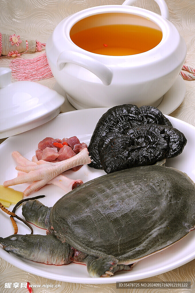 虫草灵芝炖甲鱼