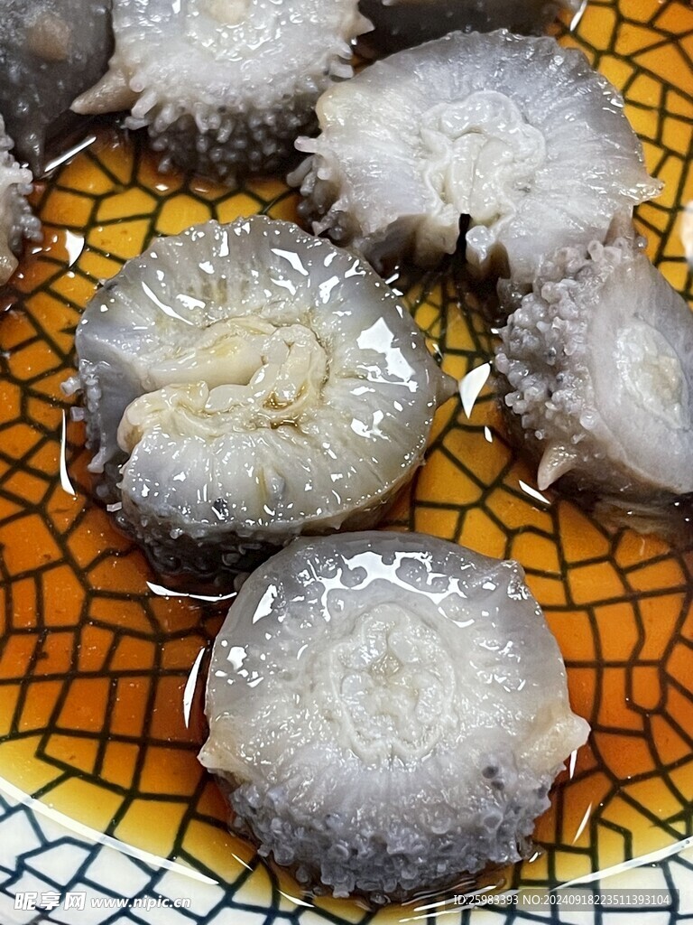 海参