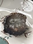 海参