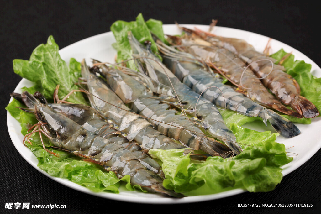  野生对虾