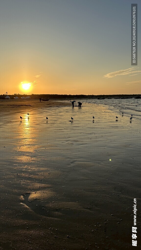 夕阳下海边赶海