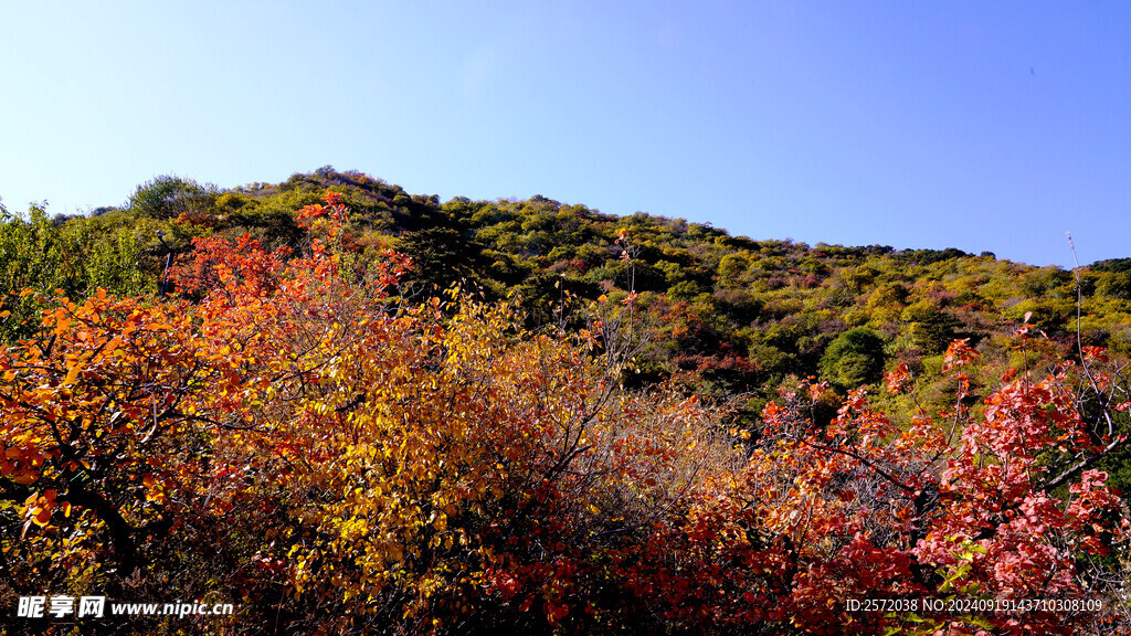 香山