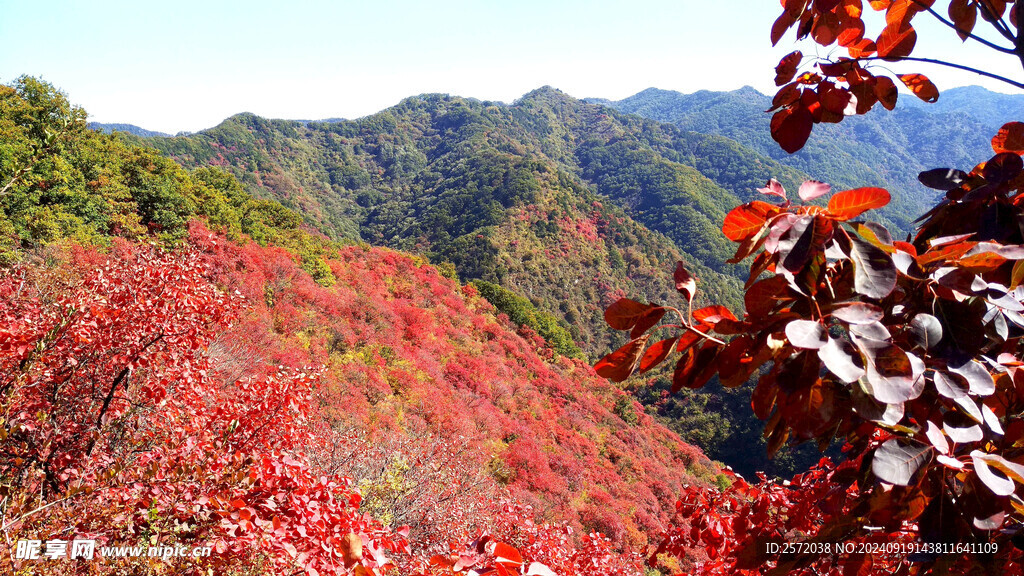 香山