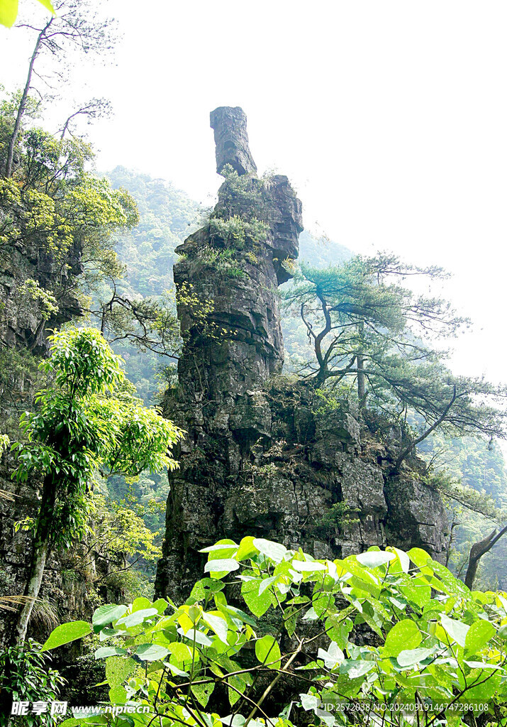 金秀莲花山