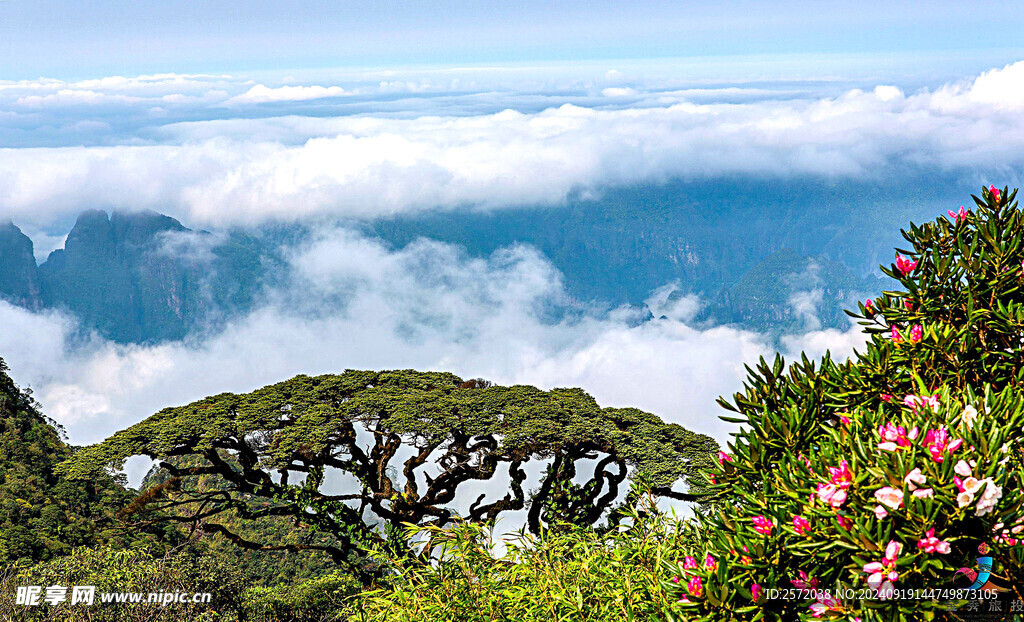 金秀圣堂山