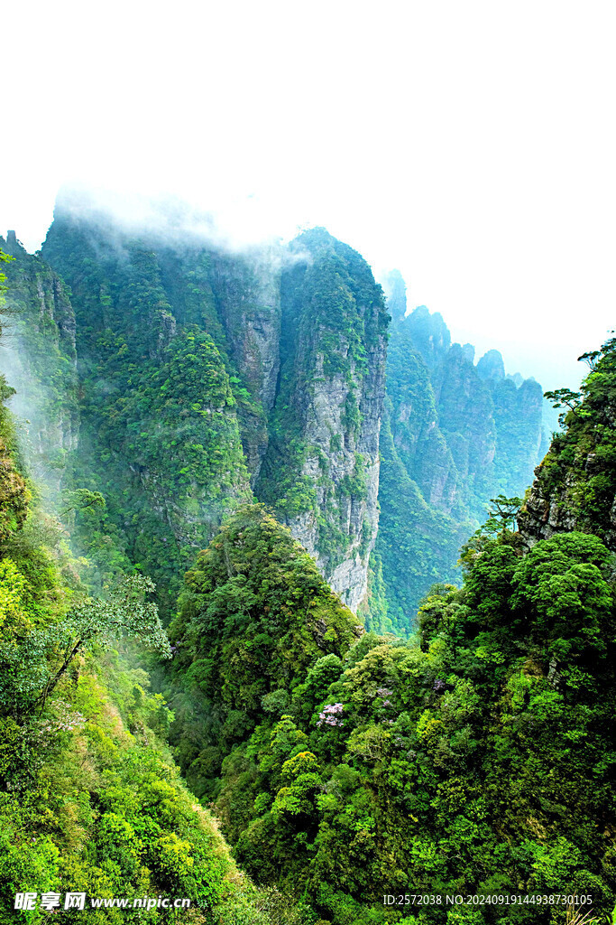 金秀圣堂山