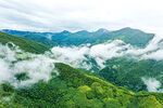 霸王岭