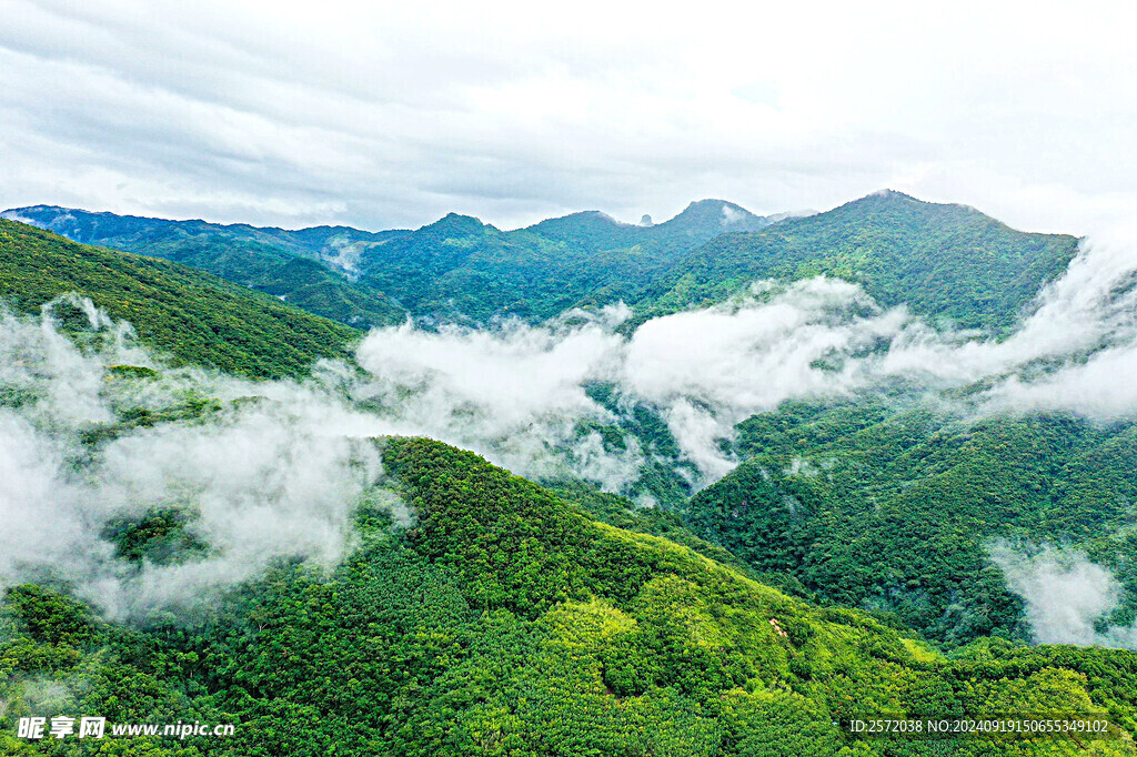 霸王岭