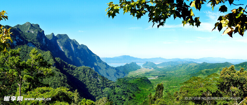 霸王岭