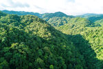 吊罗山