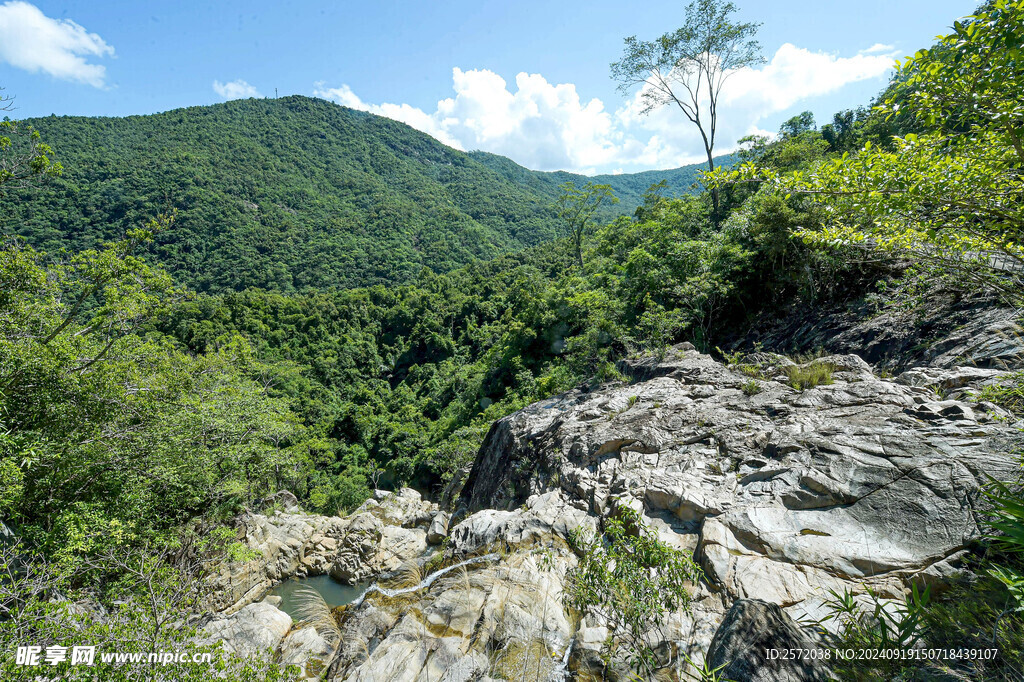 霸王岭